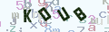 验证码